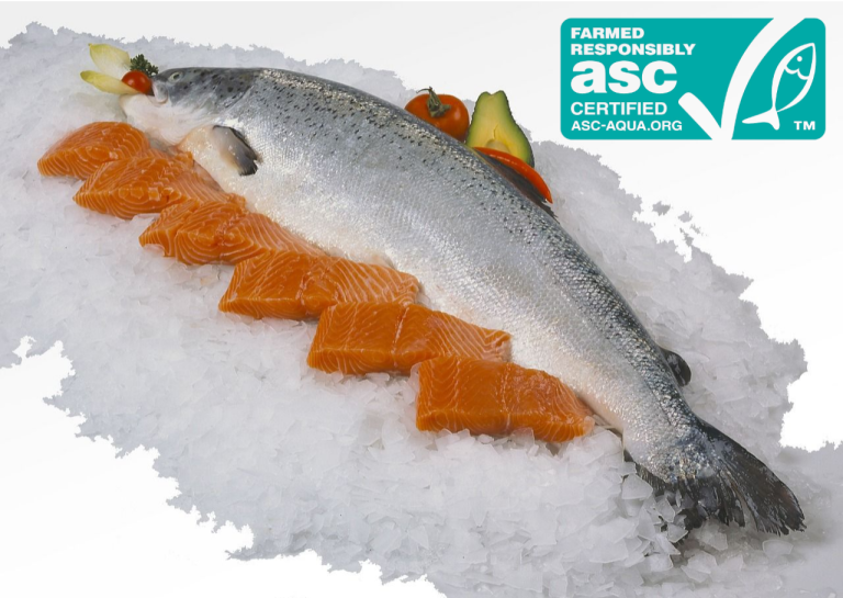 Le Saumon ASC : un choix responsable, savoureux et engagé