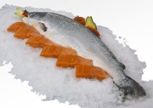 salmon-1881522_1280