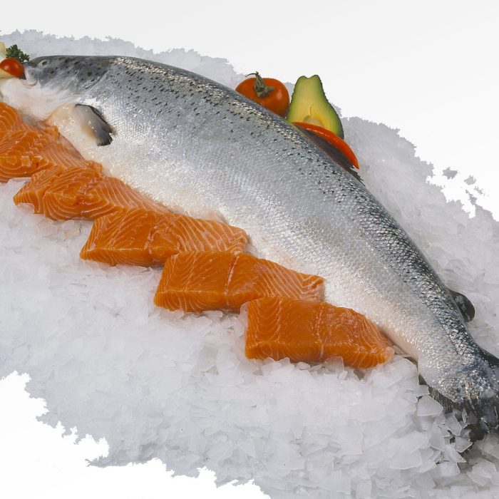 salmon-1881522_1280