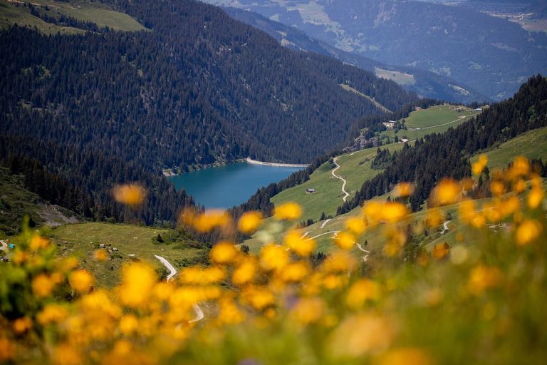 La Savoie et son terroir : traditions, saveurs et richesses naturelles